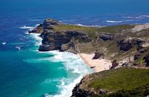 Top 10 Super Tour: Table Mountain, Penguins & Cape of Good Hope Small Group Trip