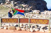 Table Mountain, Penguins & Cape of Good Hope Small Group Top Tour from Cape Town