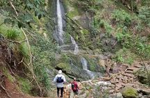 Incredible Table Mountain Guided Day Hike or Trail Run