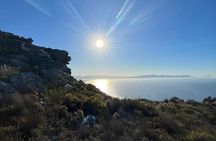 Incredible Table Mountain Guided Day Hike or Trail Run