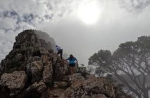 Incredible Table Mountain Guided Day Hike or Trail Run