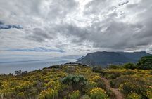 Incredible Table Mountain Guided Day Hike or Trail Run