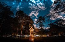 3-Day Iquitos Jungle Adventure at Muyuna Lodge