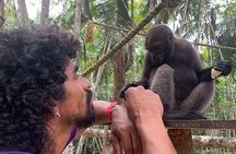 5 Days 4 Nights Culture and Nature of the Amazon