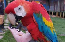 5 Days 4 Nights Culture and Nature of the Amazon