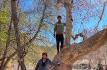 Sedona Cathedral Rock E-Bike Adventure