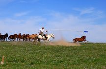 Nomad Ride