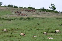 Essence of Mongolia 3 Days