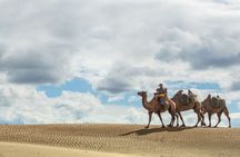 Essence of Mongolia 3 Days