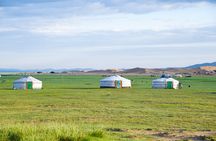Essence of Mongolia 5 Days