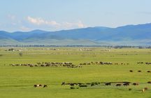 Essence of Mongolia 4 Days