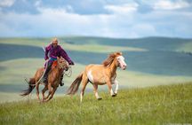 Essence of Mongolia 4 Days