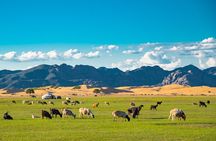 Essence of Mongolia 4 Days