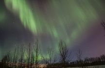 Northern Lights 4x4 Tour from Akureyri