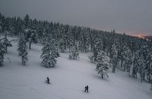 Northern Lights Tour With Skis Or Snowshoes in Pyhä