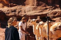 Camel Tours in Wadi Rum Desert | Magic Bedouin Star