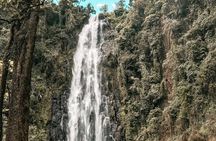 Half-Day Private Tour to Materuni Waterfalls and Coffee excursion 