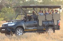 Kruger National Park Afternoon Sunset Safari Tour