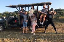 3 Day Safari and Coastal Tour from Cape Town 