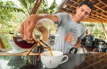 From Seed to Cup - Coffee Experience at La Palma y El Tucan