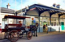 Guided Killarney National Park Tour