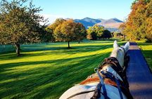 Guided Killarney National Park Tour