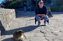 Table Mountain's India Venster Hike + Hotel Pick-Up 