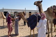 Doha Desert Safari with Camel Ride, Sand Boarding,Inland Sea Tour