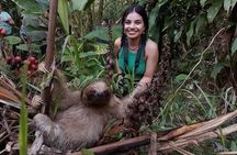 Tropical Rainforest, Hanging Bridges And Jungle Sloths Sanctuary