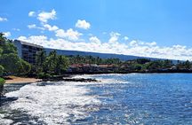 Ali'i Private Tour in Luxury Van