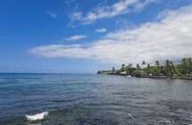 Ali'i Private Tour in Luxury Van