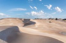 Coffin Bay National Park Half-day 4WD Tour