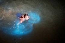 Luminous Lagoon from Montego Bay