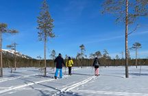 Guided Wilderness Skiing Tour In Pyhätunturi