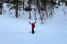 Guided Snowshoeing Tour In Pyhätunturi