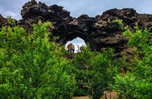 4x4 MiniBus Tour Lake Myvatn, Dettifoss,Selfoss, Godafoss and Nature Baths 