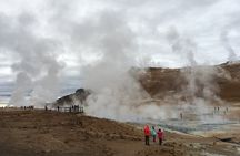4x4 MiniBus Tour Lake Myvatn, Dettifoss,Selfoss, Godafoss and Nature Baths 