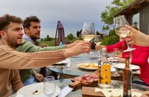 Tuscany Experience: Pisa, Siena, San Gimignano & Wine Tasting