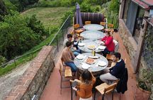 Tuscany Experience: Pisa, Siena, San Gimignano & Wine Tasting