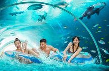 Adventure Cove Waterpark + 1 Way Transfer