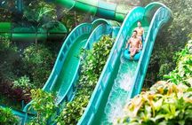 Adventure Cove Waterpark + 1 Way Transfer