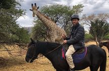 Horseback Safari & Cable Car Ride from Johannesburg 