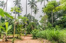 Zanzibar Cooking Class & Spice Tour 