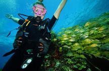 Two Reefs For Certified Divers in Cancun