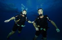 Two Reefs For Certified Divers in Cancun