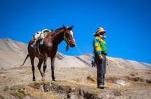Full Day Tour to the Mountain of Colors from Cusco