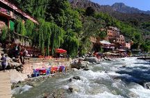 Private Day Trip to Atlas Mountains and 3 valleys - Lunch & Guide