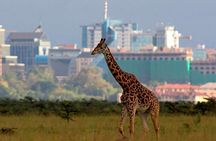 Nairobi National Park Group Shared Tour
