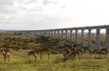Nairobi National Park Group Shared Tour