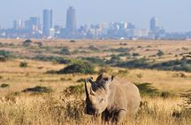 Nairobi National Park Group Shared Tour